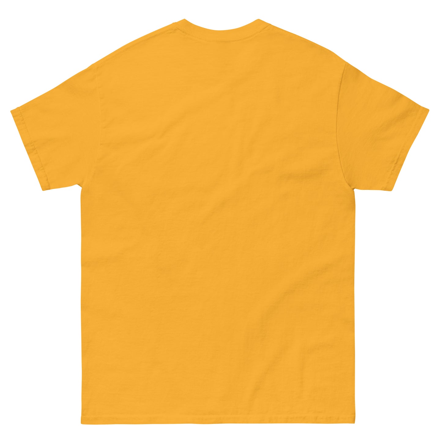 5 Boroughs Unisex classic tee